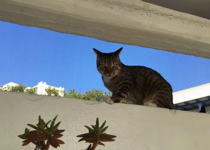 La Maison De Bella Σπίτι διακοπών