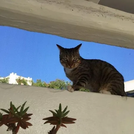 La Maison De Bella Ferienhaus