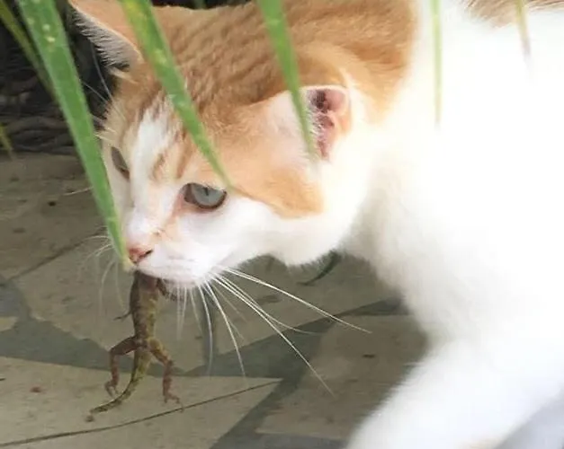 La Maison De Bella Hébergement de vacances